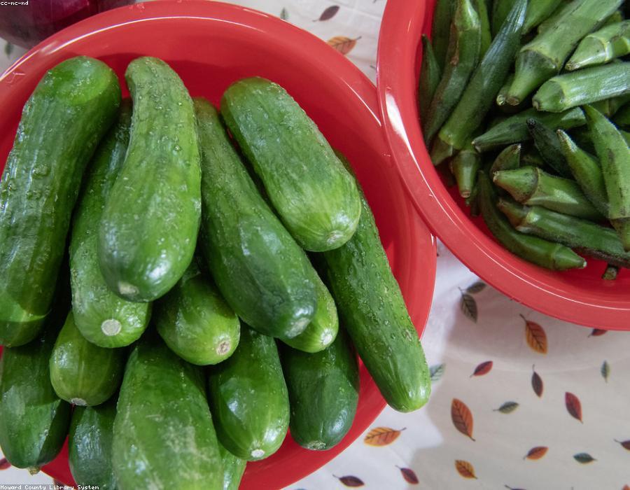 Garden Salad
