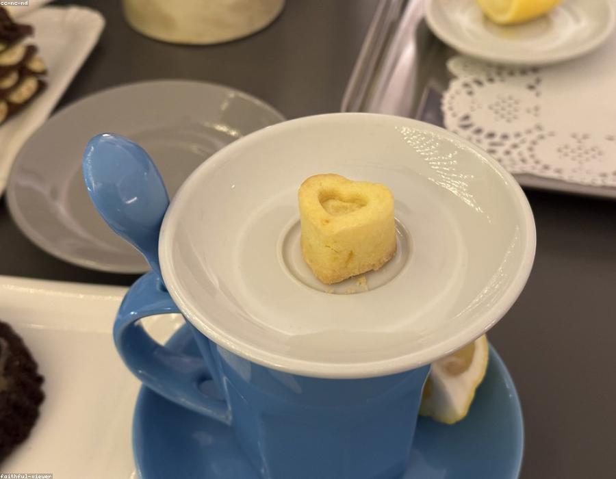 Tiramisu Cup